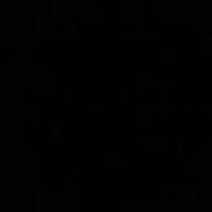 Meet your Posher, Pam